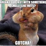 Breaking your Fast Sensibly | BREAK YOUR FAST WITH SOMETHING SMALL,  LIKE NUTS? GOTCHA! | image tagged in diet,ramadan,fasting | made w/ Imgflip meme maker