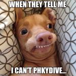 Phteven tuna the dog | WHEN THEY TELL ME; I CAN'T PHKYDIVE... | image tagged in phteven tuna the dog | made w/ Imgflip meme maker