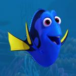 Dory