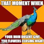 Thespian peacock | THAT MOMENT WHEN; YOUR MOM DOSENT GIVE YOU FLOWERS CLOSING NIGHT | image tagged in thespian peacock | made w/ Imgflip meme maker