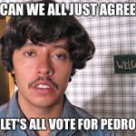 Vote for Pedro  | CAN WE ALL JUST AGREE LET'S ALL VOTE FOR PEDRO | image tagged in vote for pedro | made w/ Imgflip meme maker