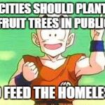 I Have An Idea Krillin | CITIES SHOULD PLANT FRUIT TREES IN PUBLIC; TO FEED THE HOMELESS | image tagged in i have an idea krillin | made w/ Imgflip meme maker