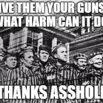 concentration camp | GIVE THEM YOUR GUNS... WHAT HARM CAN IT DO; THANKS ASSHOLE | image tagged in concentration camp | made w/ Imgflip meme maker