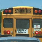student school bus driver meme
