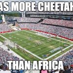 Gillette Stadium | HAS MORE CHEETAHS; THAN AFRICA | image tagged in gillette stadium | made w/ Imgflip meme maker