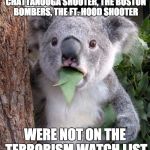 The "lists" don't stop anything. | THE ORLANDO SHOOTER, THE SAN BERNARDINO SHOOTERS, THE CHATTANOOGA SHOOTER, THE BOSTON BOMBERS, THE FT. HOOD SHOOTER WERE NOT ON THE TERRORIS | image tagged in wtf koala,terrorism | made w/ Imgflip meme maker