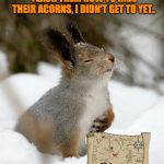 Overly Dramatic Squirrel | I'VE BEEN HIT SKIPPER, HERES THE MAP TO ALL MY PEANUT LOCATIONS.. TAKE THEM TO MY BABIES, TEACH THEM HOW TO HIDE THEIR ACORNS, I DIDN'T GET TO YET.. TELL THEM I LOVE THEM, FAREWELL.. | image tagged in memes,funny,lol,animals,cute,squirrel | made w/ Imgflip meme maker