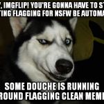 That is, user flagging... Hate it when I catch stuff AFTER I go to Image Page. | HEY, IMGFLIP! YOU'RE GONNA HAVE TO STOP LETTING FLAGGING FOR NSFW BE AUTOMATIC. SOME DOUCHE IS RUNNING AROUND FLAGGING CLEAN MEMES. | image tagged in wtf husky,nsfw | made w/ Imgflip meme maker