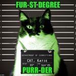 Waiting for Paw-don  | FUR-ST DEGREE; PURR-DER | image tagged in raycat incarcerated,memes | made w/ Imgflip meme maker