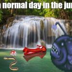 Just a normal day in the jungle... | Just a normal day in the jungle... | image tagged in waterfall,monkey,goldfish,eel,normal | made w/ Imgflip meme maker