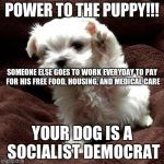 Don't like dogs | POWER TO THE PUPPY!!! SOMEONE ELSE GOES TO WORK EVERYDAY TO PAY FOR HIS FREE FOOD, HOUSING, AND MEDICAL CARE; YOUR DOG IS A SOCIALIST DEMOCRAT | image tagged in don't like dogs | made w/ Imgflip meme maker