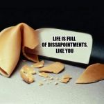 Unfortunate cookie | LIFE IS FULL OF DISSAPOINTMENTS, LIKE YOU | image tagged in fortune cookie,sewmyeyesshut,funny memes | made w/ Imgflip meme maker