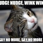 Nudge Nudge | NUDGE NUDGE, WINK WINK; SAY NO MORE, SAY NO MORE ! | image tagged in winking cat,nudge nudge,wink wink,say no more,monty python | made w/ Imgflip meme maker
