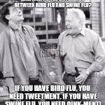 Father and Son | DAD, WHAT'S THE DIFFERENCE BETWEEN BIRD FLU AND SWINE FLU? IF YOU HAVE BIRD FLU, YOU NEED TWEETMENT. IF YOU HAVE SWINE FLU, YOU NEED OINK-MENT! | image tagged in father and son | made w/ Imgflip meme maker