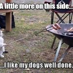 Grumpy Cat would be so proud.  | A little more on this side | image tagged in cooking hot dogs,funny meme | made w/ Imgflip meme maker