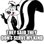 Bad Pun le Pew | I GOT KICKED OUT OF A NIGHTCLUB LAST NIGHT; THEY SAID THEY DON'T SERVE MY KIND; BECAUSE I MIGHT SPRAY THE PLACE | image tagged in bad pun le pew | made w/ Imgflip meme maker