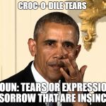 Obama Crying | CROC·O·DILE TEARS; NOUN: TEARS OR EXPRESSION OF SORROW THAT ARE INSINCERE | image tagged in obama crying | made w/ Imgflip meme maker
