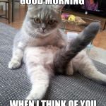 Sexy cat | GOOD MORNING; WHEN I THINK OF YOU | image tagged in sexy cat | made w/ Imgflip meme maker