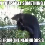 Aligator | WHEN YOU SMELL SOMETHING GOOD; COMING FROM THE NEIGHBORS'S  HOUSE | image tagged in aligator | made w/ Imgflip meme maker