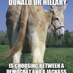 donkey ass | CHOOSING BETWEEN DONALD OR HILLARY; IS CHOOSING BETWEEN A DEMOCRAT AND A JACKASS. EITHER WAY THE DONKEYS WIN. | image tagged in donkey ass,hillary clinton,donald trump,jackass,democrat,republican | made w/ Imgflip meme maker