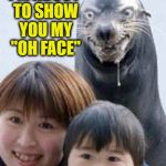 Rape Seal | I'M ABOUT TO SHOW YOU MY "OH FACE" | image tagged in rape seal | made w/ Imgflip meme maker