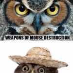 Bad Pun Owl | WHAT DO YOU CALL MY FEET? WEAPONS OF MOUSE DESTRUCTION | image tagged in bad pun owl | made w/ Imgflip meme maker