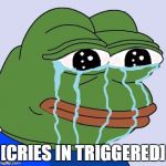 pepe_cry | [CRIES IN TRIGGERED] | image tagged in pepe_cry | made w/ Imgflip meme maker