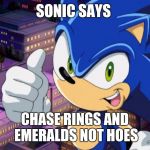 Sonic 2.0 | SONIC SAYS; CHASE RINGS AND EMERALDS NOT HOES | image tagged in sonic 20 | made w/ Imgflip meme maker