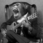 Monkey birthday jam | LOVERS QUARREL | image tagged in monkey birthday jam | made w/ Imgflip meme maker