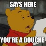 winniethepoohreading | SAYS HERE; YOU'RE A DOUCHE | image tagged in winniethepoohreading | made w/ Imgflip meme maker