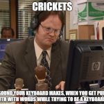 Keyboard Warrior | CRICKETS; THAT SOUND YOUR KEYBOARD MAKES, WHEN YOU GET PUNCHED IN THE MOUTH WITH WORDS WHILE TRYING TO BE A KEYBOARD WARRIOR | image tagged in keyboard warrior,dwight,keyboard,keyboard warriors | made w/ Imgflip meme maker