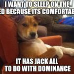 Relaxed Dog | I WANT TO SLEEP ON THE BED BECAUSE ITS COMFORTABLE; IT HAS JACK ALL TO DO WITH DOMINANCE | image tagged in relaxed dog | made w/ Imgflip meme maker