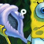 Magic conch shell