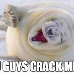 Laughing seal you guys crack me up | YOU GUYS CRACK ME UP | image tagged in laughing seal,crack me up,rofl,seal | made w/ Imgflip meme maker