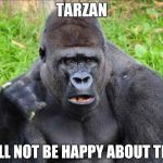 Gorilla Fans | TARZAN; WILL NOT BE HAPPY ABOUT THIS | image tagged in gorilla fans | made w/ Imgflip meme maker