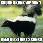 Skunk | SKUNK SKUNK WE DON'T; NEED NO STINKY SKUNKS | image tagged in skunk | made w/ Imgflip meme maker