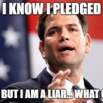 Marco Rubio | I KNOW I PLEDGED; BUT I AM BUT I AM A LIAR... WHAT CAN I SAY | image tagged in marco rubio | made w/ Imgflip meme maker