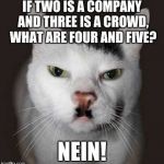 Bad Pun Nazi Cat | IF TWO IS A COMPANY AND THREE IS A CROWD, WHAT ARE FOUR AND FIVE? NEIN! | image tagged in nazi cat,bad pun cat,bad puns | made w/ Imgflip meme maker