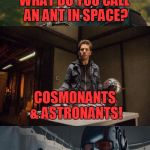 Bad Pun Ant-Man | WHAT DO YOU CALL AN ANT IN SPACE? COSMONANTS & ASTRONANTS! | image tagged in bad pun ant-man,memes,bad pun,ant-man,funny,marvel | made w/ Imgflip meme maker