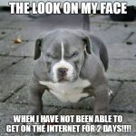 frown!!! | THE LOOK ON MY FACE; WHEN I HAVE NOT BEEN ABLE TO GET ON THE INTERNET FOR 2 DAYS!!!! | image tagged in frown | made w/ Imgflip meme maker