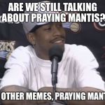 Iverson on Memes | ARE WE STILL TALKING ABOUT PRAYING MANTIS? NOT OTHER MEMES, PRAYING MANTIS? | image tagged in practice,memes,praying mantis | made w/ Imgflip meme maker