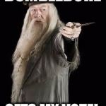 Dumbledore | DUMBLEDORE; GETS MY VOTE! | image tagged in dumbledore | made w/ Imgflip meme maker