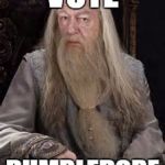 Dumbledore | VOTE; DUMBLEDORE | image tagged in dumbledore | made w/ Imgflip meme maker