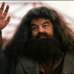 Hagrid_cheeriofelicia