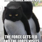 Draped Cat Be Like | I'VE GOT TO SEE THE SEQUELS TO THE FORCE AWAKENS; THE FORCE GETS FED AND THE FORCE VISITS THE LITTER BOX | image tagged in black cat draped on chair,draped cat,sequel to the force awakens,memes,funny,gets fed and visits the litter box | made w/ Imgflip meme maker