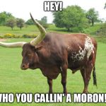 oxymoron | HEY! WHO YOU CALLIN' A MORON!? | image tagged in oxymoron | made w/ Imgflip meme maker