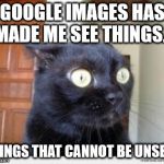 When you look up a perfectly innocent word and realize it must have been some kind of secret porn keyword. | GOOGLE IMAGES HAS MADE ME SEE THINGS... THINGS THAT CANNOT BE UNSEEN | image tagged in scared cat,google images,porn | made w/ Imgflip meme maker