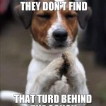 pet prayer | I PRAY THAT THEY DON'T FIND THAT TURD BEHIND THE COUCH | image tagged in pet prayer | made w/ Imgflip meme maker