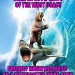 Sometimes you just gotta say WTF... | ONCE HE GOT A TASTE OF THE WEST COAST; SMOKEY KNEW HIS DAYS AS A FIREFIGHTER WERE OVER | image tagged in bear gone wild,smokey gone wild,memes,smokey bear,funny,animals | made w/ Imgflip meme maker