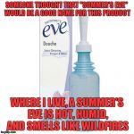 Maybe it depends on where you live? | SOMEONE THOUGHT THAT "SUMMER'S EVE" WOULD BE A GOOD NAME FOR THIS PRODUCT; WHERE I LIVE, A SUMMER'S EVE IS HOT, HUMID, AND SMELLS LIKE WILDFIRES | image tagged in douche | made w/ Imgflip meme maker